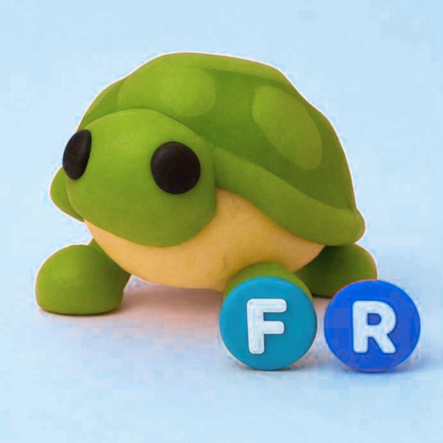 FR TURTLE